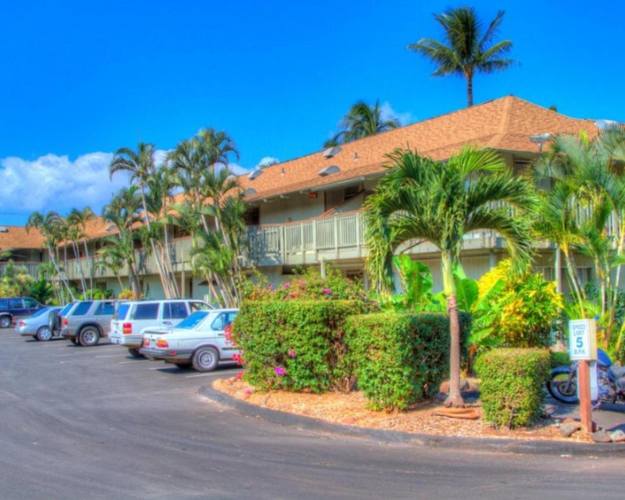 Kihei Bay Surf 130- Garden View Studio, Free Parking Zewnętrze zdjęcie