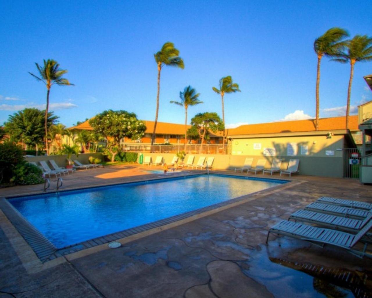 Kihei Bay Surf 130- Garden View Studio, Free Parking Zewnętrze zdjęcie
